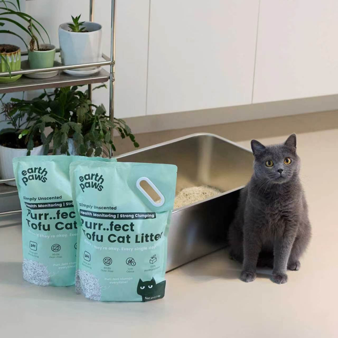 A grey cat at home beside EarthPaws litter bags